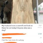 dank-memes cute text: My husband runs a sawmill and look at these he cut today! Anyone else see a dog? I feel like I see more of a sad pig Turn on your monitor 707 068 39  Dank Meme