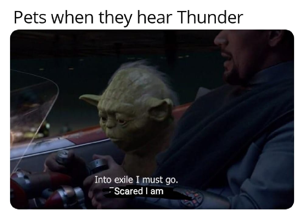 sith star-wars-memes sith text: Pets when they hear Thunder Into exile I must go. - Scared I am 