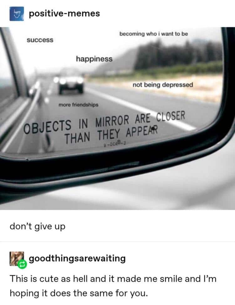cute wholesome-memes cute text: positive- success memes becorning who i want to be happiness not being depressed OBJECTS IN MIRROR THAN THEY APPER don't give up goodthingsarewaiting This is cute as hell and it made me smile and I'm hoping it does the same for you. 