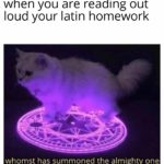 dank-memes cute text: when you are reading out loud your latin homework whomst has summoned the almighty one  Dank Meme