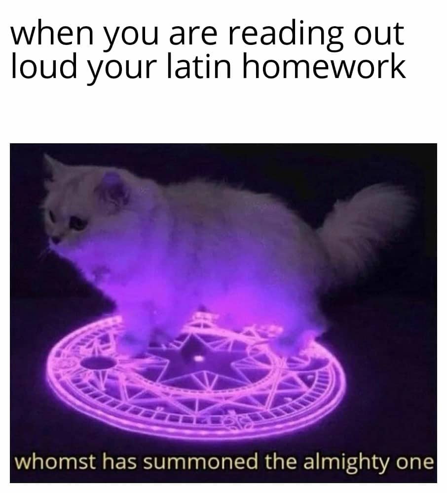 Dank Meme dank-memes cute text: when you are reading out loud your latin homework whomst has summoned the almighty one 