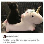christian-memes christian text: peripateticmeg "And 10, I saw a rider on a pale horse, and the rider was death."  christian