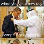political-memes political text: when y get new dog very y your; 