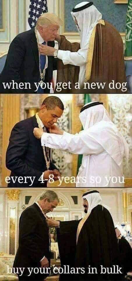 political political-memes political text: when y get new dog very y your; 'collars in bulk 