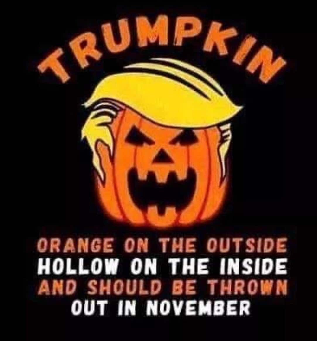 political political-memes political text: ORANGE ON THE OUTSIDE HOLLOW ON THE INSIDE AND SHOULD BE THROWN OUT IN NOVEMBER 