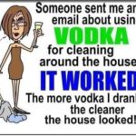 boomer-memes boomer text: omeone sent me an email about using VODKA for cleaning around the house. IT WORKED! The more vodka I drank, the cleaner the house looked!  boomer