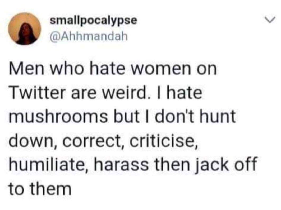 women feminine-memes women text: smallpocalypse @Ahhmandah Men who hate women on Twitter are weird. I hate mushrooms but I don't hunt down, correct, criticise, humiliate, harass then jack off to them 