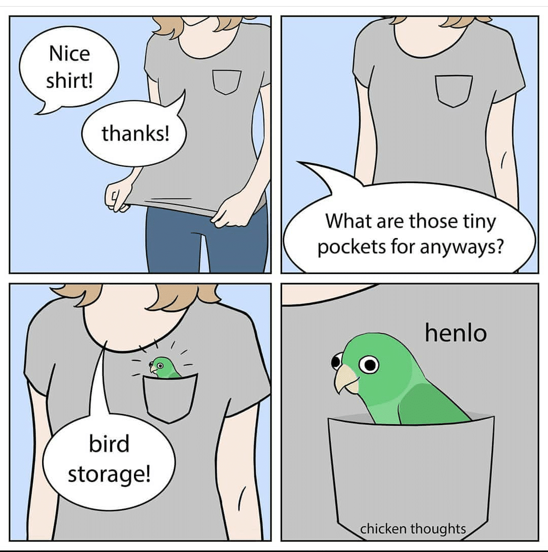 cute wholesome-memes cute text: Nice shirt! thanks! bird storage! What are those tiny pockets for anyways? henlo chicken thoughts 
