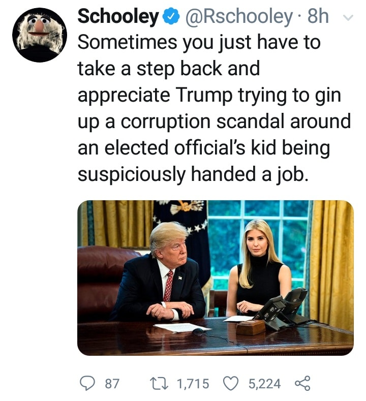 political political-memes political text: SchooleyO @Rschooley • 8h Sometimes you just have to take a step back and appreciate Trump trying to gin up a corruption scandal around an elected official's kid being suspiciously handed a job. 0 87 1,715 0 5,224 < 