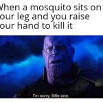 avengers-memes thanos text: When a mosquito sits on your leg and you raise your hand to kill it I