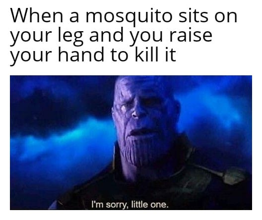 thanos avengers-memes thanos text: When a mosquito sits on your leg and you raise your hand to kill it I'm sorry. little one. 