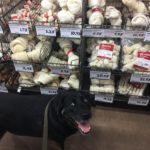 Meme Generator – Dog in pet store