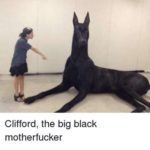 dank-memes cute text: Clifford, the big black motherfucker  Dank Meme