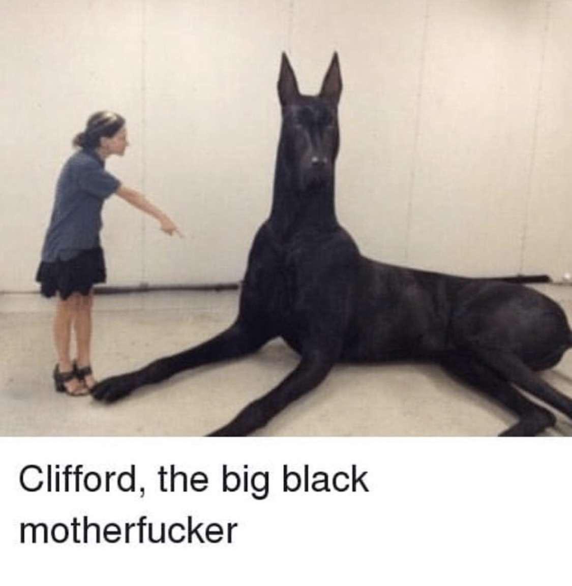 Dank Meme dank-memes cute text: Clifford, the big black motherfucker 