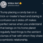 political-memes political text: Willikin Wolf @WillikinWolf Trump placing a candy bar on a trick-or-treater