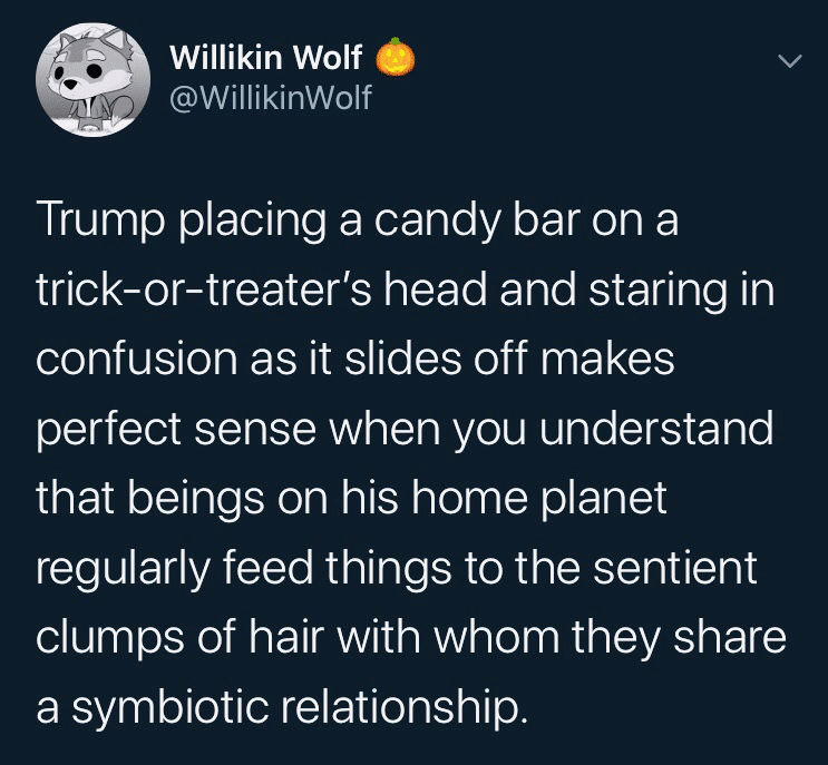 political political-memes political text: Willikin Wolf @WillikinWolf Trump placing a candy bar on a trick-or-treater's head and staring in confusion as it slides off makes perfect sense when you understand that beings on his home planet regularly feed things to the sentient clumps of hair with whom they share a symbiotic relationship. 