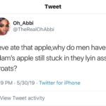 christian-memes christian text: Tweet Oh_Abbi @TheRealOhAbbi If eve ate that apple,why do men have Adam