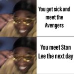 other-memes cute text: You get sick and meet the Avengers You meet Stan Lee the next day  cute