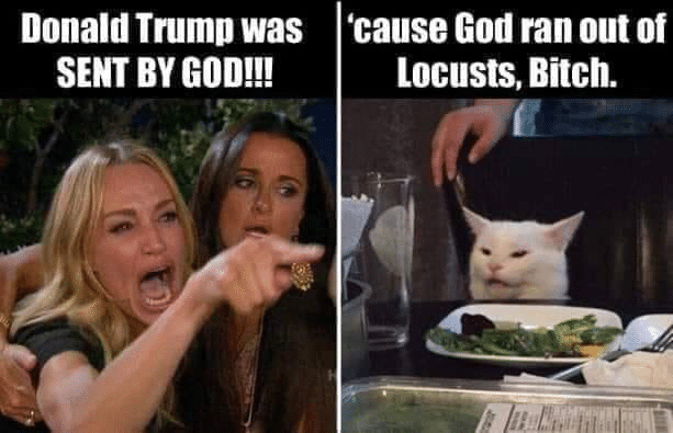 political political-memes political text: Donald Trump was SENT BY GOD!!! 'cause God ran out of Locusts, Bitch. 