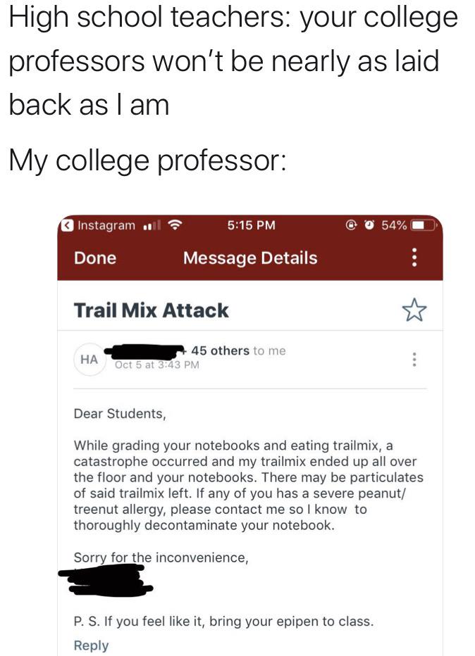 cute wholesome-memes cute text: High school teachers: your college professors won't be nearly as laid back as I am My college professor: 5:15 PM Instagram .•OL Done Message Details Trail Mix Attack 45 others to me HA Dear Students, While grading your notebooks and eating trailmix, a catastrophe occurred and my trailmix ended up all over the floor and your notebooks. There may be particulates of said trailmix left. If any of you has a severe peanut/ treenut allergy, please contact me so I know to thoroughly decontaminate your notebook. Sorry for the inconvenience, P. S. If you feel like it, bring your epipen to class. Reply 