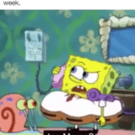 spongebob-memes spongebob text: When you haven