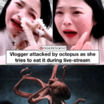 dank-memes cute text: Vlogger attacked by octopus as she tries to eat it during live-stream [laughs in/hentaile  Dank Meme