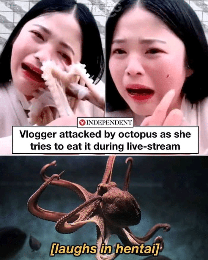 Dank Meme dank-memes cute text: Vlogger attacked by octopus as she tries to eat it during live-stream [laughs in/hentaile 