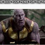 avengers-memes thanos text: WHEN SHE SEES YOUR PENIS FOR THE FIRST_TIME small  thanos