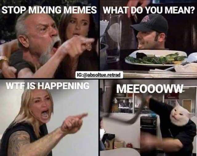 cute other-memes cute text: STOP MIXING MEMES WHATiDOYOU MEAN? IS HAPPENIN 000 