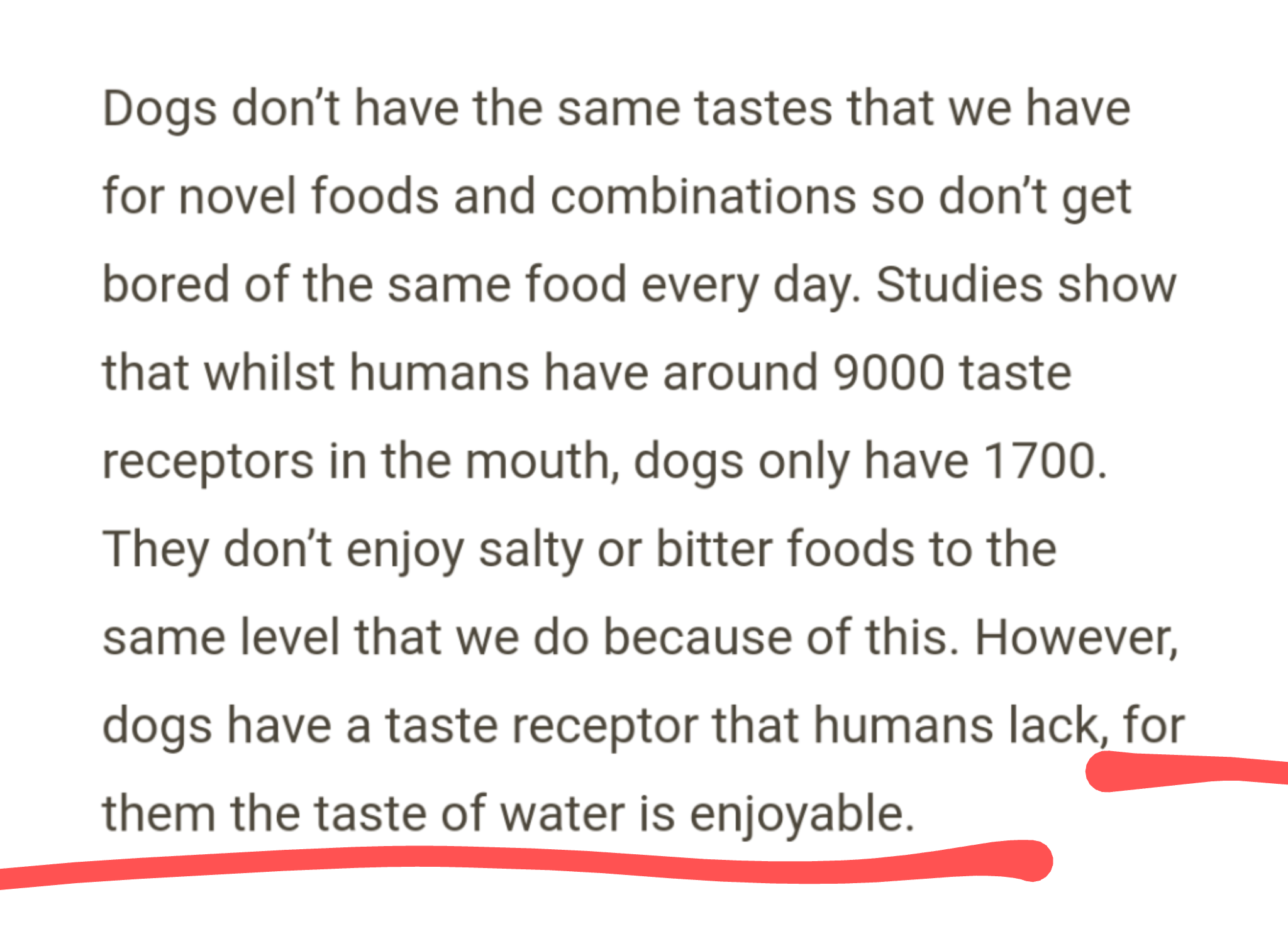 water water-memes water text: Dogs don't have the same tastes that we have for novel foods and combinations so don't get bored of the same food every day. Studies show that whilst humans have around 9000 taste receptors in the mouth, dogs only have 1700. They don't enjoy salty or bitter foods to the same level that we do because of this. However, dogs have a taste receptor that humans lack, for them the taste of water is enjoyable. 
