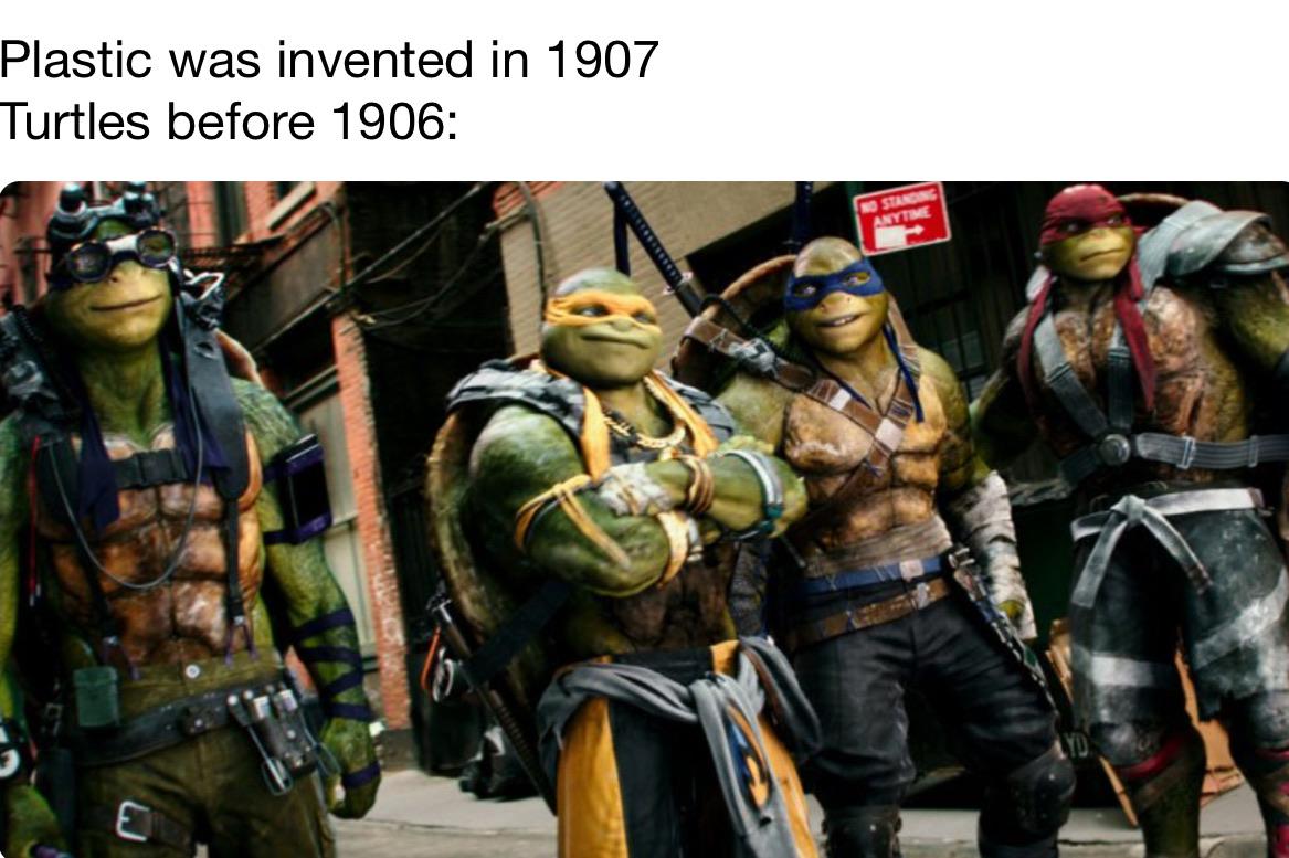 Dank Meme dank-memes cute text: Plastic was invented in 1907 Turtles before 1906: 