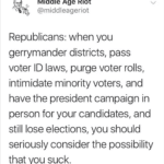 political-memes political text: Middle Age Riot I @middleageriot Republicans: when you gerrymander districts, pass voter ID laws, purge voter rolls, intimidate minority voters, and have the president campaign in person for your candidates, and still lose elections, you should seriously consider the possibility that you suck.  political