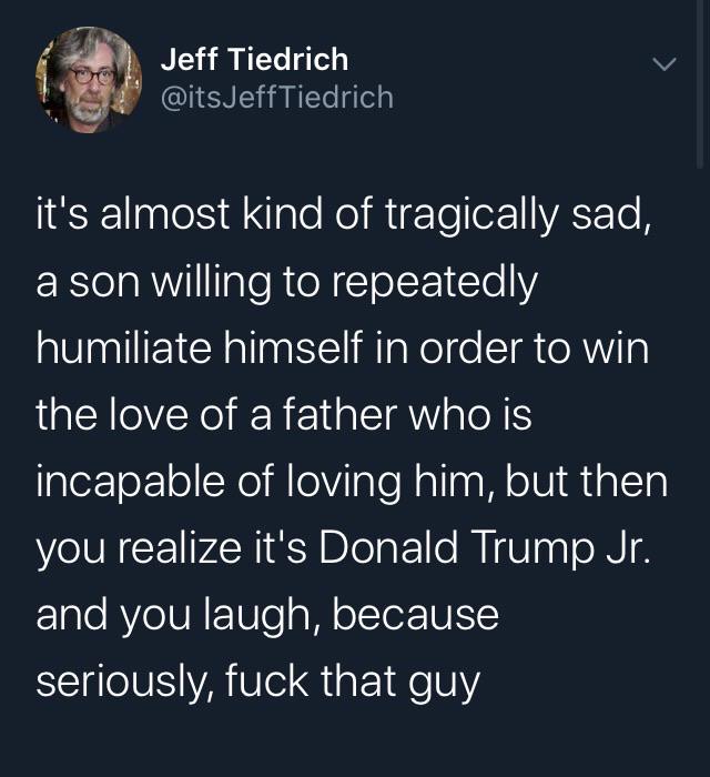 political political-memes political text: Jeff Tiedrich @itsJeffTiedrich itls almost kind of tragically sad, a son willing to repeatedly humiliate himself in order to win the love of a father who is incapable of loving him, but then you realize it's Donald Trump Jr. and you laugh, because seriously, fuck that guy 