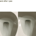 water-memes water text: Before and after i pee  water