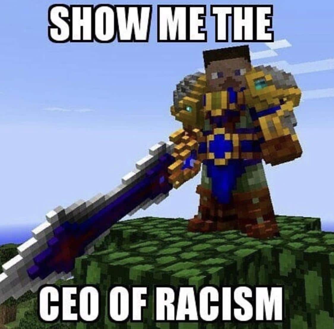 minecraft minecraft-memes minecraft text: ME THE CEO OF RACISM 