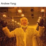 yang-memes political text: Joe Biden: Marijuana is a gateway drug Andrew Yang:  political