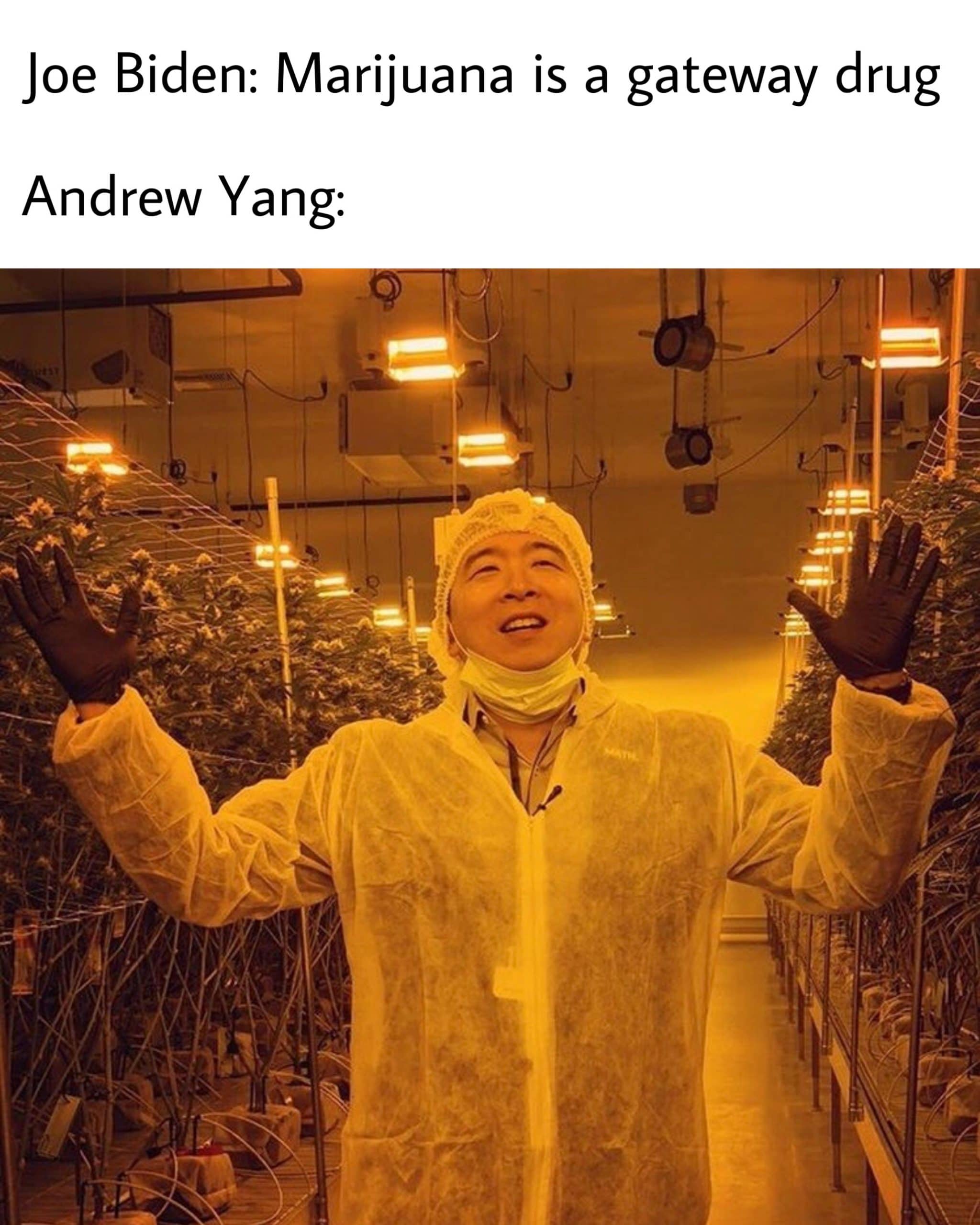 political yang-memes political text: Joe Biden: Marijuana is a gateway drug Andrew Yang: 