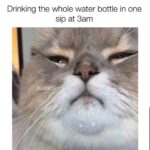 water-memes water text: Drinking the whole water bottle in one sip at gam SustenanCe:  water