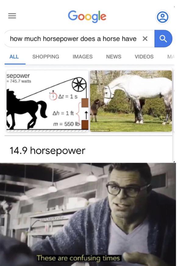 Dank Meme dank-memes cute text: Google how much horsepower does a horse have X ALL sepower SHOPPING IMAGES NEWS times VIDEOS At-I s Ah=lft m = 550 1b 14.9 horsepower These are confusin 