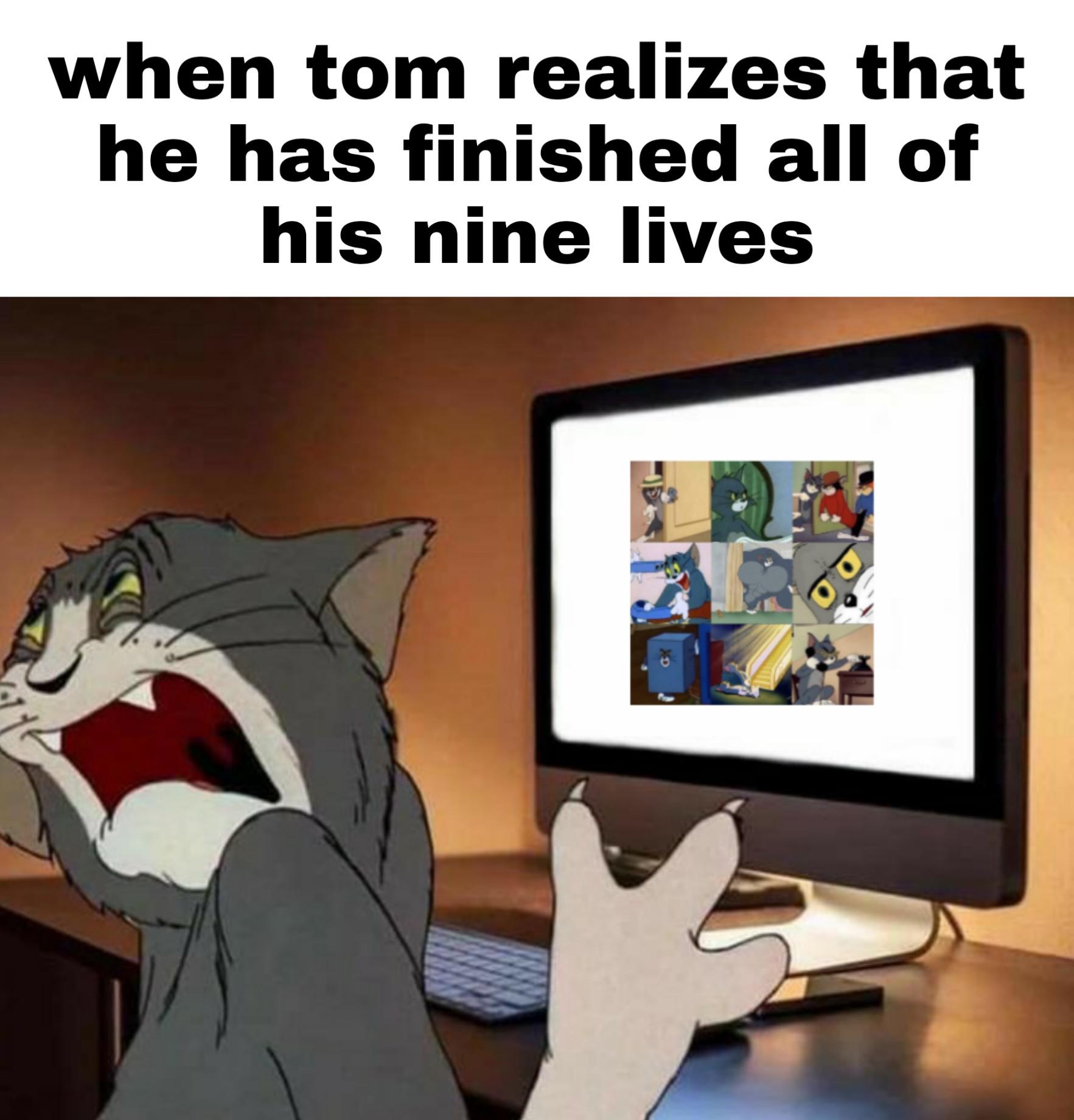 Dank Meme dank-memes cute text: when tom realizes that he has finished all of his nine lives 