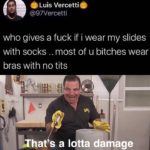 other-memes dank text: Luis Vercetti @97Vercetti who gives a fuck if i wear my slides with socks .. most of u bitches wear bras with no tits hat s a lotta dama e  dank