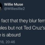 political-memes political text: Willie Muse @VVilIiesilIie2 The fact that they blur female nipples but not Ted Cruz