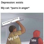 wholesome-memes cute text: Depression: exists My cat: *purrs in anger* 00 c ovobaioe sa  cute