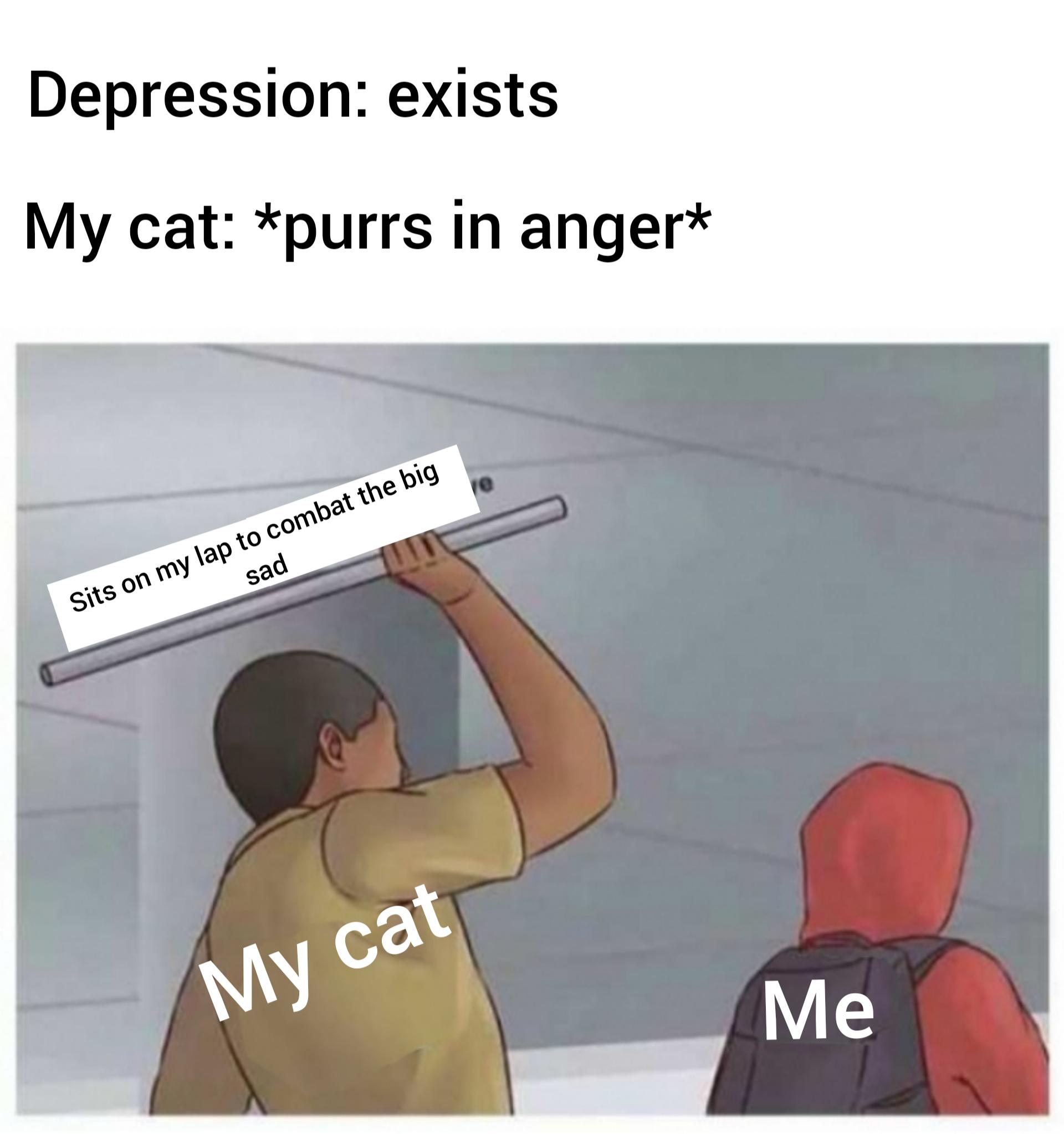 cute wholesome-memes cute text: Depression: exists My cat: *purrs in anger* 00 c ovobaioe sa 