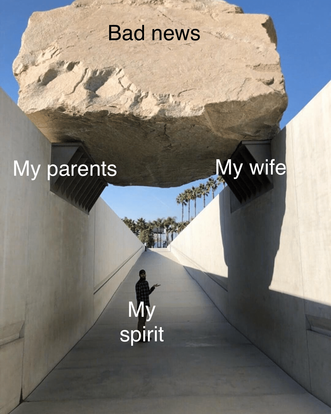 cute wholesome-memes cute text: Bad news My parents sprit y wife 