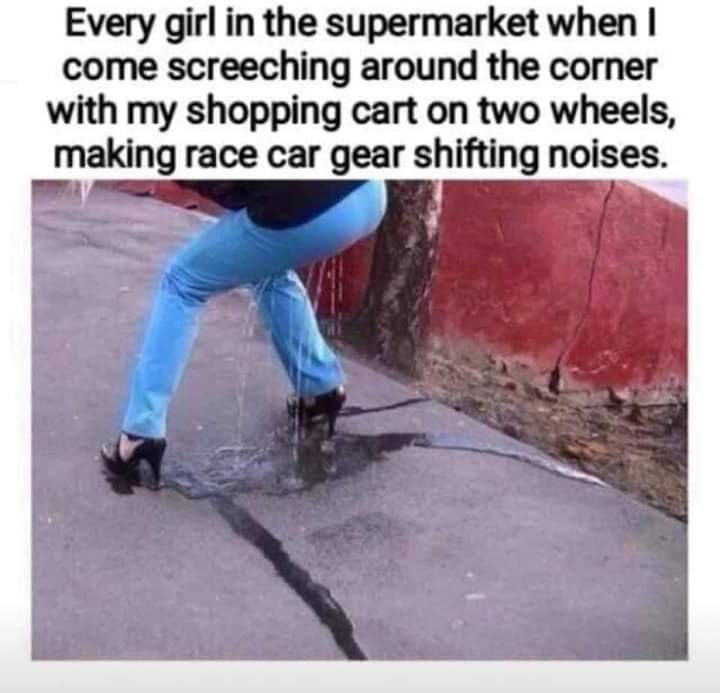 Dank Meme dank-memes cute text: Every girl in the supermarket when I come screeching around the corner with my shopping cart on two wheels, making race car gear shifting noises. 