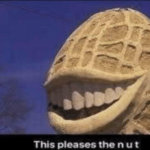 This pleases the nut Food meme template blank  Nut, Reaction, Happy, Weird, Food