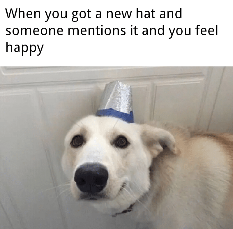 cute wholesome-memes cute text: When you got a new hat and someone mentions it and you feel happy 