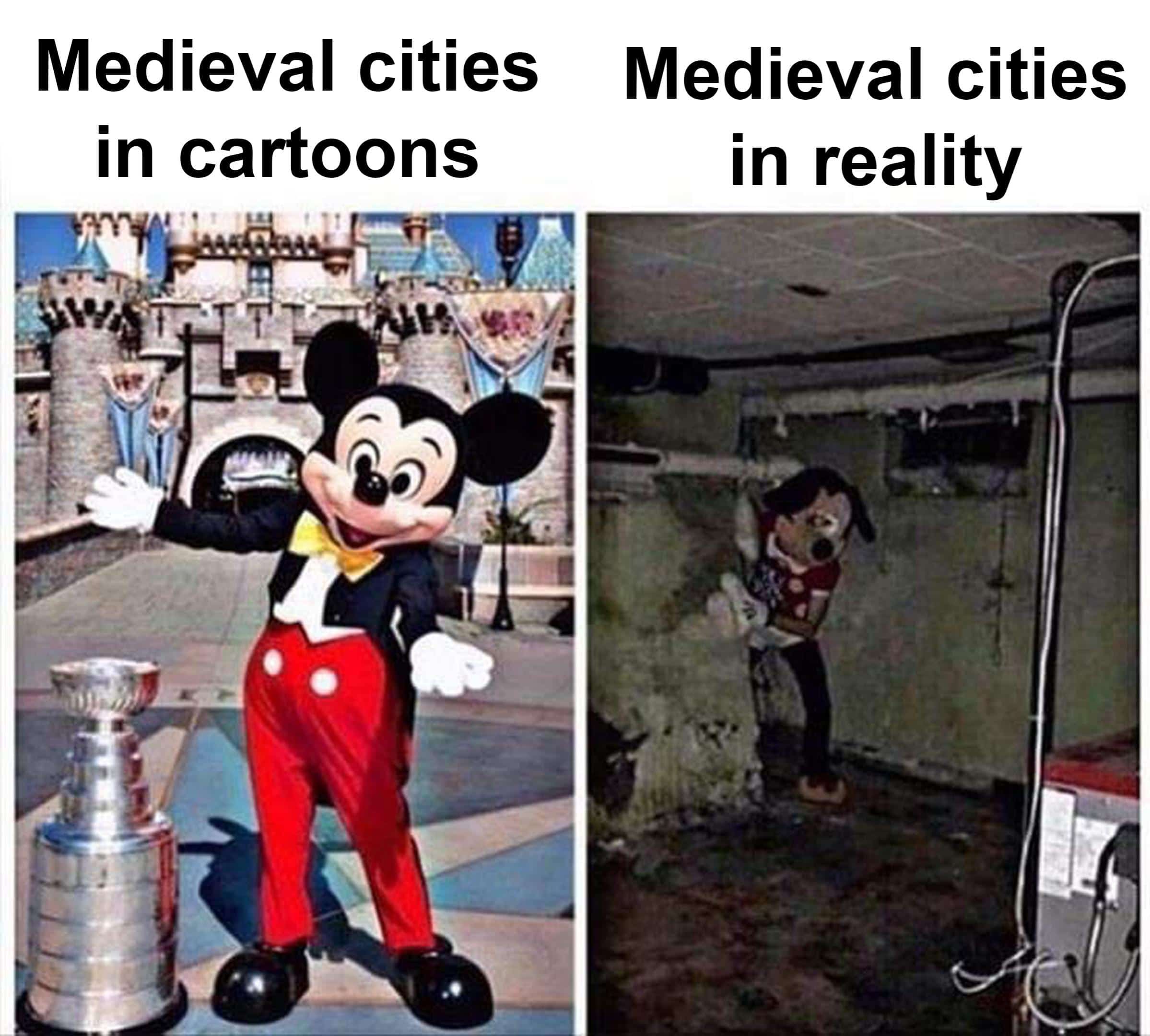 history history-memes history text: Medieval cities in cartoons Medieval cities in reality 