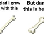 minecraft-memes minecraft text: so glad I grew But damn LID with this this is better 